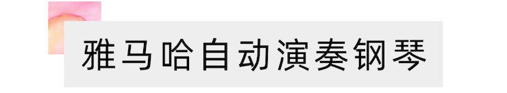 活动报道 | 远程艺术教育大师课活动—w88win优德艺术家赵宇大师课